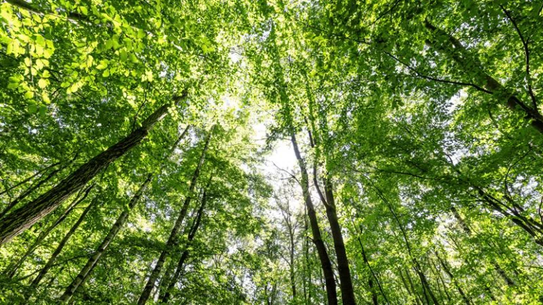 Erneuerbare Energien