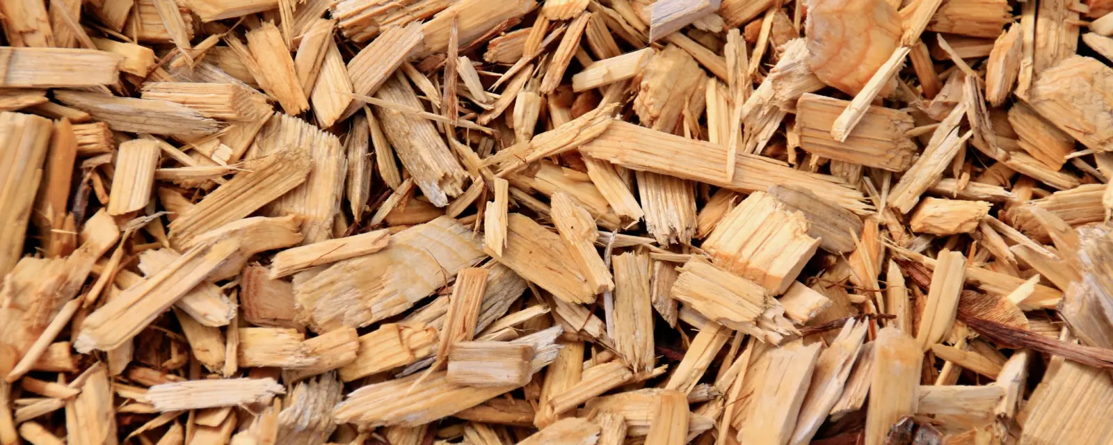 Nachwachsender Rohstoff im Detail: Holzhackschnitzel sichern als Biomasse die Grundlast in modernen Dampf- und Heißwasseranlagen.