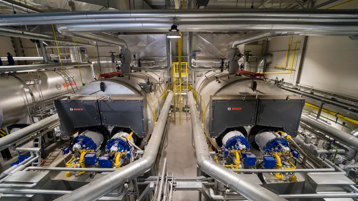 Zuckerrüben voll unter Dampf