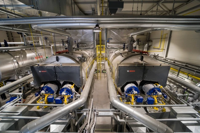 Zuckerrüben voll unter Dampf