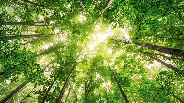 Calor industrial más sostenible