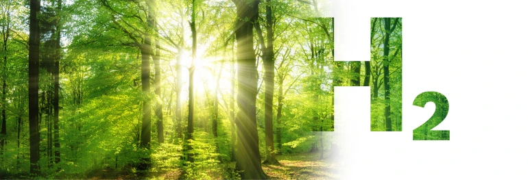 apuesta por la hibridación en el Taller de Tecnologías para la Descarbonización