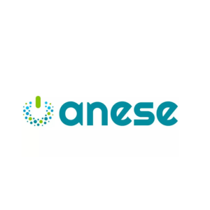 ANESE ANESE