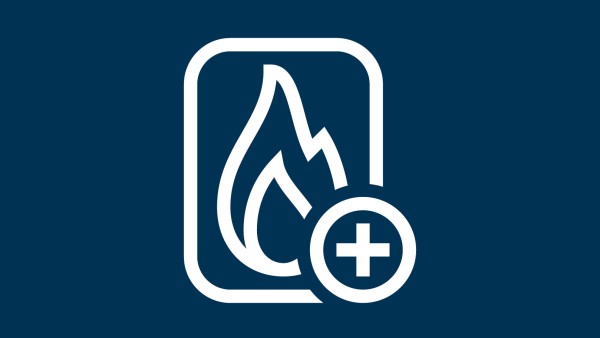 Icon: Flame with a plus symbol for multi-fuel firing systems