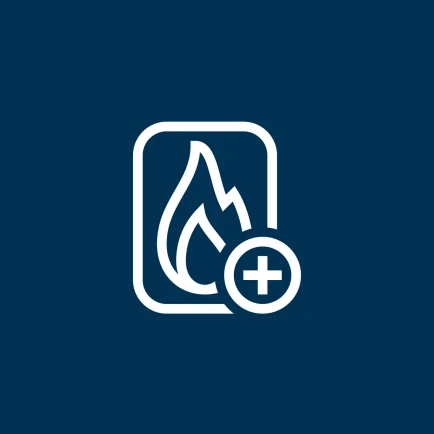 Icon: Flame with a plus symbol for multi-fuel firing systems