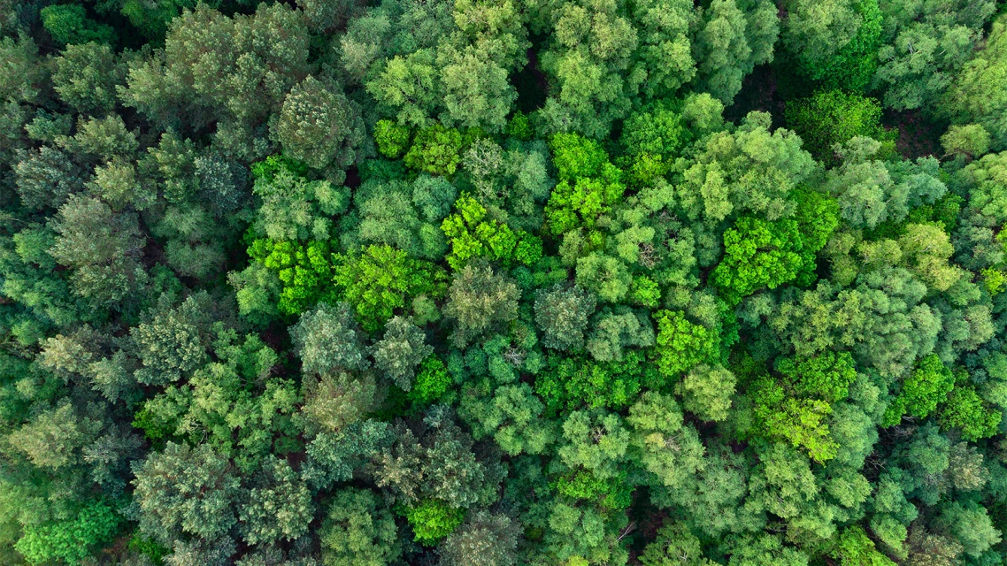 Efficienza energetica