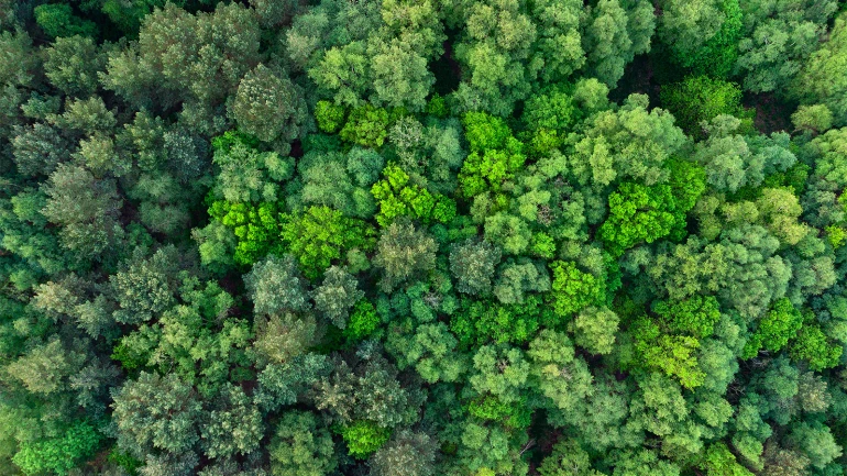 Efficienza energetica