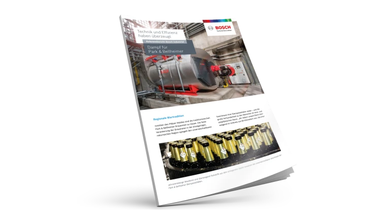 Produzione di vapore per Park &amp; Bellheimer