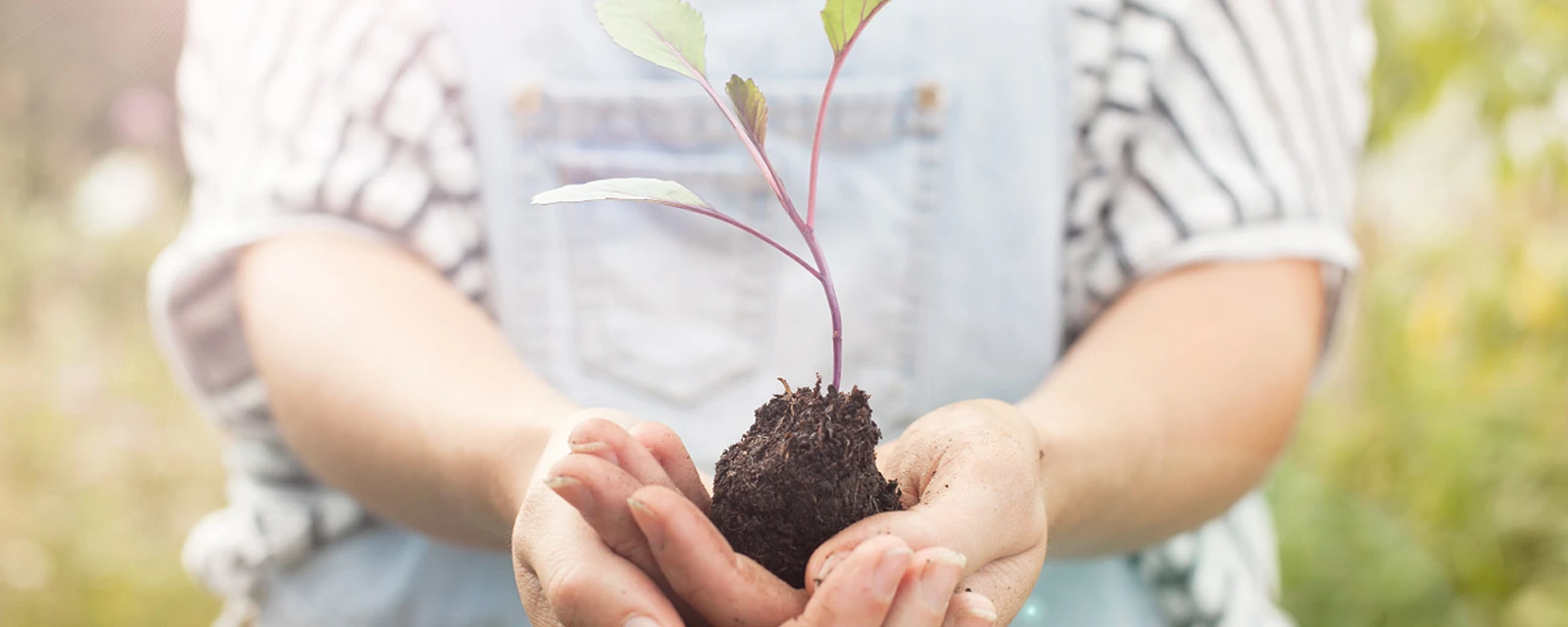 Resíduos de equipamentos elétricos e eletrónicos (REEE)